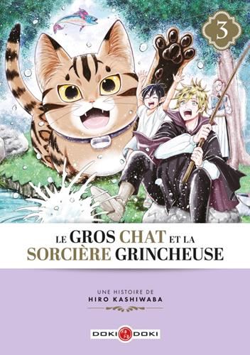 Gros chat et la sorcière grincheuse (Le) T3