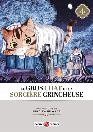 Gros chat et la sorcière grincheuse (Le) T4