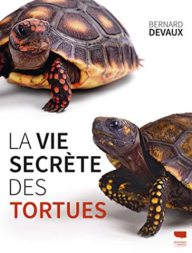 La Vie secrète des tortues