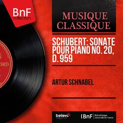 Sonates pour piano D 959 & D 960