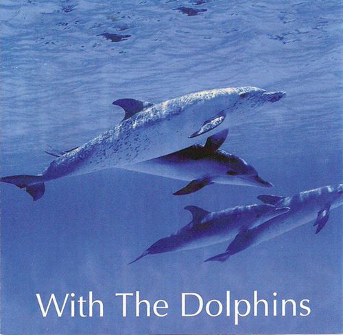 With the Dolphins